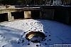 DSC03831.JPG